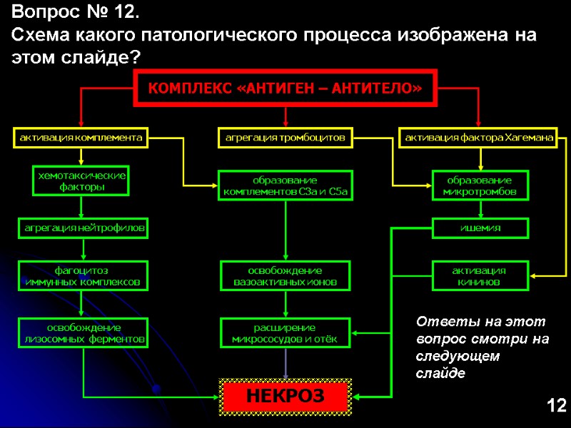 КОМПЛЕКС «АНТИГЕН – АНТИТЕЛО» активация комплемента агрегация тромбоцитов активация фактора Хагемана хемотаксические факторы образование